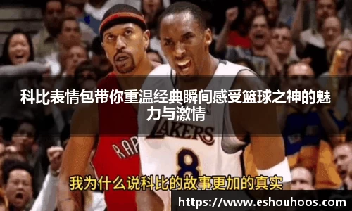科比表情包带你重温经典瞬间感受篮球之神的魅力与激情