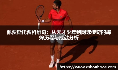 佩贾斯托贾科维奇：从天才少年到网球传奇的辉煌历程与成就分析