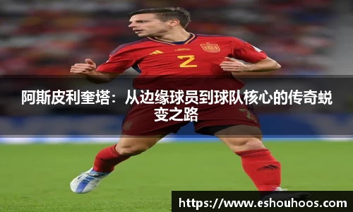 星空体育官网首页