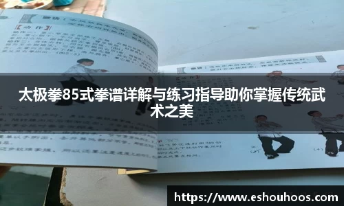 太极拳85式拳谱详解与练习指导助你掌握传统武术之美