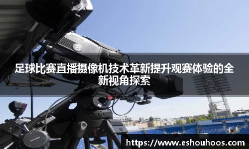 星空体育官网首页