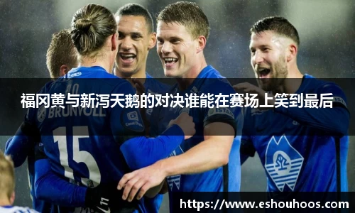 福冈黄与新泻天鹅的对决谁能在赛场上笑到最后
